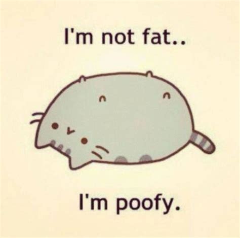 Best Fat Cat Memes - Funny Fat Cat Pictures with Quotes