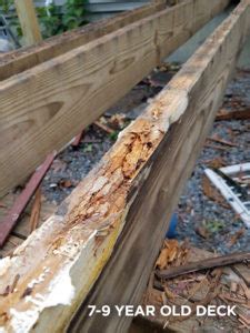 How to Create a Waterproof Deck - Deck Joist, Beam & Rim Tape | Trex Protect