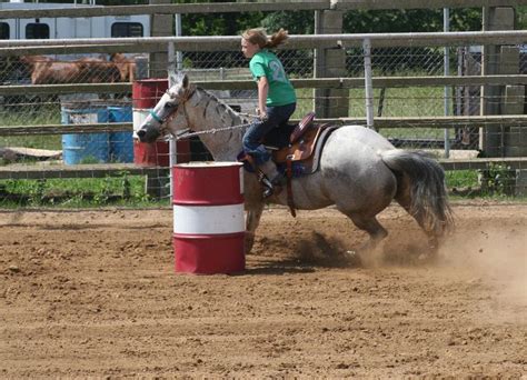 How to Select a Barrel Racing Horse