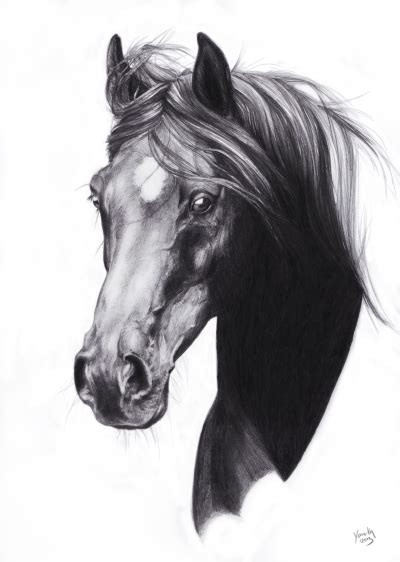 Horse pencil sketch | room | Pinterest | Dibujo de cabeza de caballo, Dibujos de caballos ...