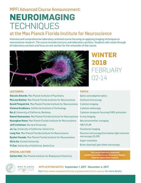 Neuroimaging Techniques | Max Planck Neuroscience