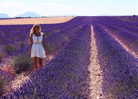 The Lavender Fields of Provence, France – JetsetChristina