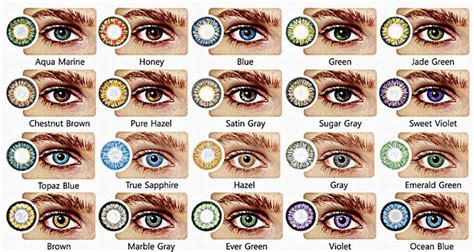 Eye Color Genetics Chart Makeup Tutorial Eyeliner, Makeup Eyeliner, Hazel Eye Makeup, Hazel Eyes ...