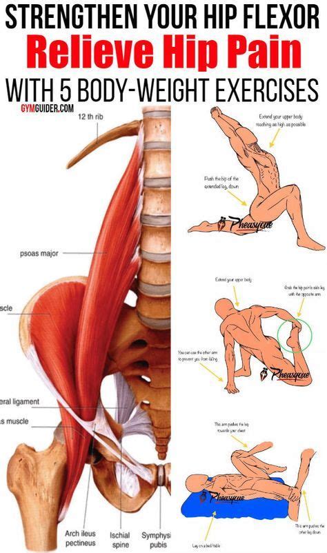 5 Exercises To Relieve Hip Pain And Strengthen Your Hip Flexor - GymGuider.com | Hip flexor, Hip ...