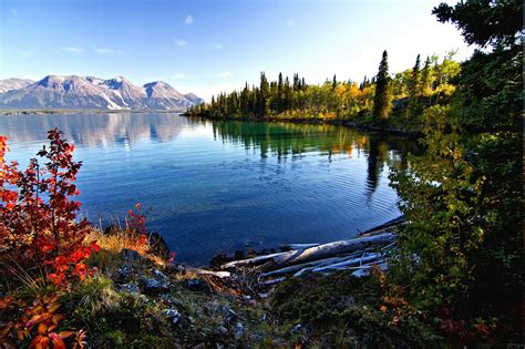 lake, Mountain, Fall, Morning, Forest, Shrubs, Water, Leaves, British Columbia, Nature ...