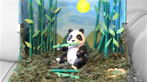 Giant Panda Habitat Diorama