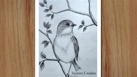 How to draw a Bird Scenery with pencil step by step, Pencil Drawing for beginners - 360CongNghe.net