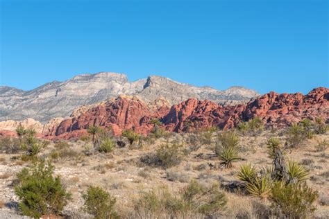 Scenery Photos-sunrise at red rock canyon mojave desert nevada