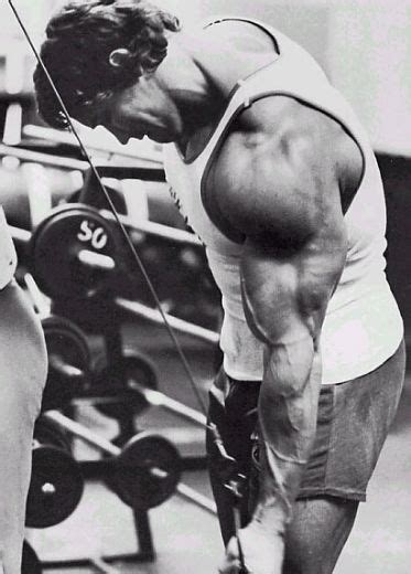 Build Killer Triceps | IronMag Bodybuilding Blog