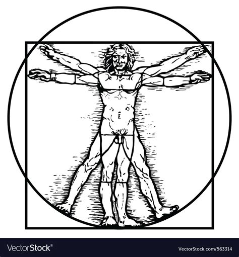 Vitruvian man Royalty Free Vector Image - VectorStock