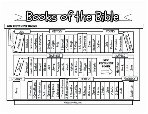 50 Books Of The Bible Worksheet