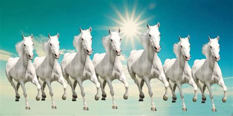 7 White Horse Wallpapers - Wallpaper Cave