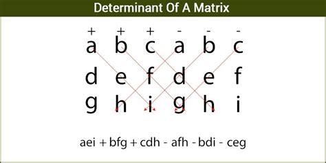 Determinant of a Matrix - For Square Matrices with Examples