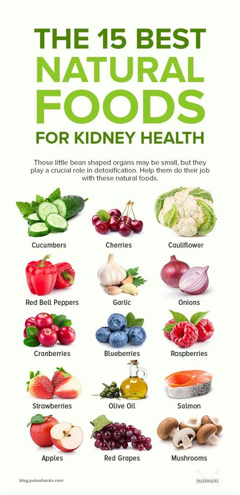 Fruits For Healthy Kidneys - Encycloall