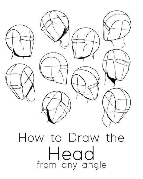 Number Of Head Drawing Tutorials Drawing The Human Head Drawings | Images and Photos finder