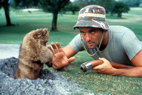 Gopher Cradles Golf Ball in Video Dubbed 'Real-Life “Caddyshack”' Moment: Watch