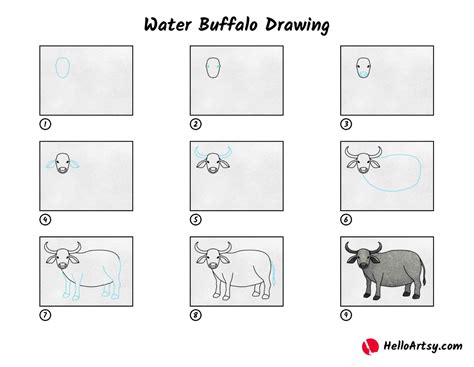 Water Buffalo Drawing - HelloArtsy