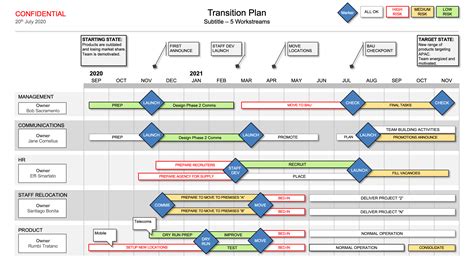 Business Process Transition Plan Template – PARAHYENA