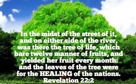 Revelation 22:2 The tree of life and it's leaves shall be for the healing of the nations ...