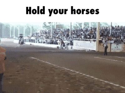 Hold GIF - Find & Share on GIPHY