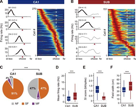 Poorer spatial firing patterns in the subiculum than the CA1. (A, B)... | Download Scientific ...