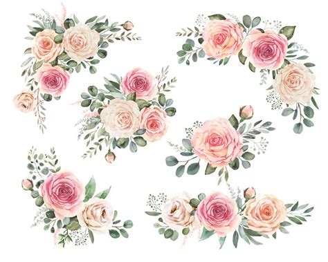 Elegant watercolor clipart with roses and eucalyptus greenery, Flower bouquet compositions ...