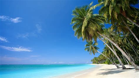 Beach Wallpaper Caribbean - WallpaperSafari