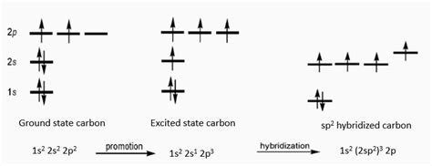 Hybridization Of Carbon