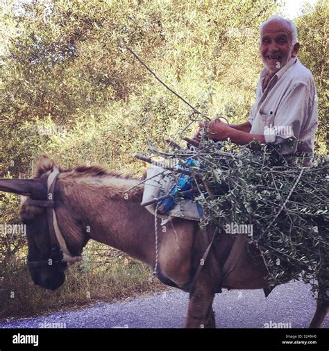 Man riding donkey hi-res stock photography and images - Alamy