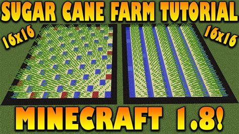 Sugar Cane Farm Schematic