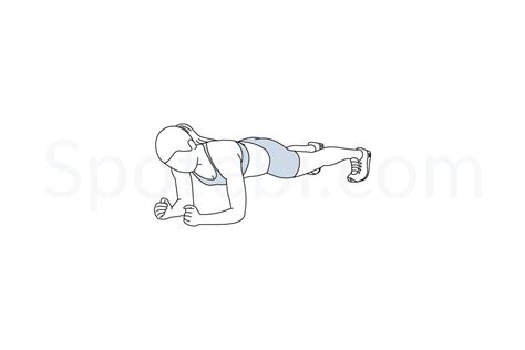 Plank | Illustrated Exercise Guide