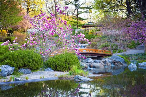 Japanese garden - Zen, Nature, Aesthetics | Britannica