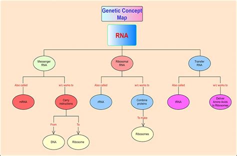 Use Biology Concept Map to Learn Biology Concepts