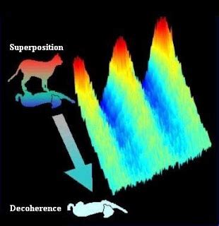 Quantum Non-Linearity: Quantum Decoherence