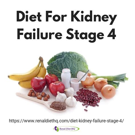 Stage 4 Kidney Failure Diet - Renal Diet Menu Headquarters | Kidney friendly foods, Kidney ...