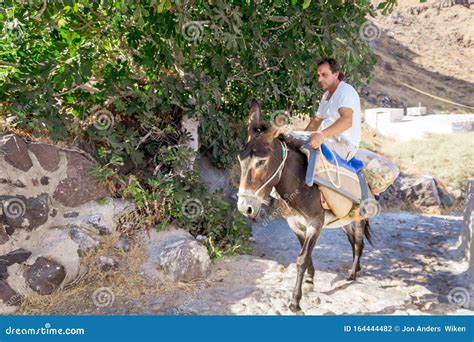 Greek Man Riding Donkey Editorial Photo | CartoonDealer.com #34497285