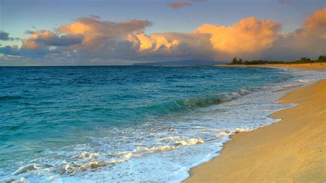 Hawaii Beach Scenes Wallpapers - Top Free Hawaii Beach Scenes Backgrounds - WallpaperAccess