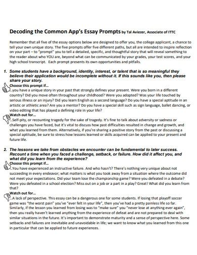 Common App Essay - 6+ Examples, Format, How to Make, Pdf