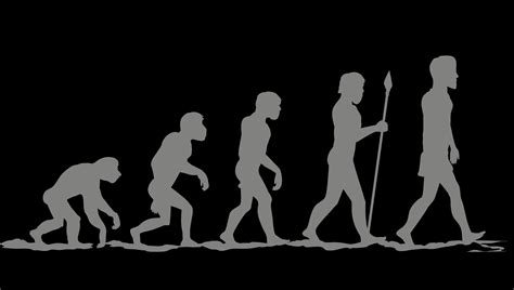 The evolution of human evolution