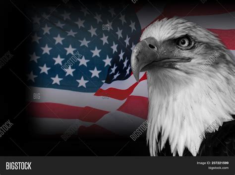 Usa Flag American, Image & Photo (Free Trial) | Bigstock