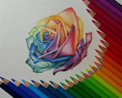 Colored Pencil Drawings For Beginners - pencildrawing2019