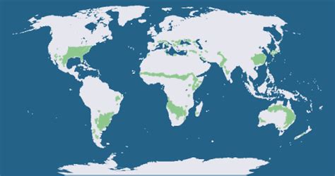 Climate Types for Kids | Humid Subtropical Climate