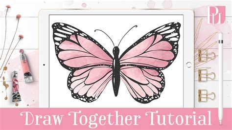 How to draw a butterfly step by step in Procreate Tutorial - YouTube