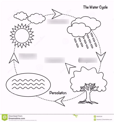 Water Cycle and Transpiration Diagram | Quizlet