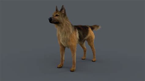 German shepherd fur 3D - TurboSquid 1569045