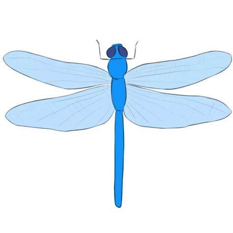 Dragonfly Sketch Easy - bmp-cyber