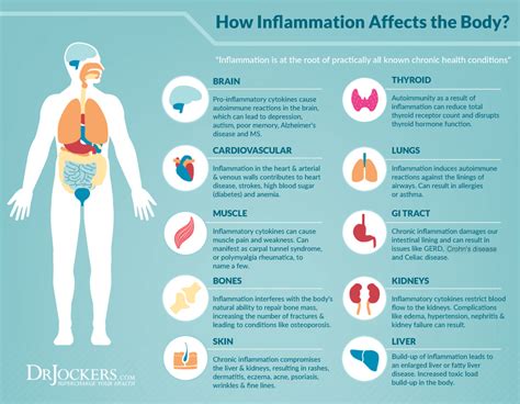 to bound Intensive get nervous body inflammation causes Luncheon temperature Beer