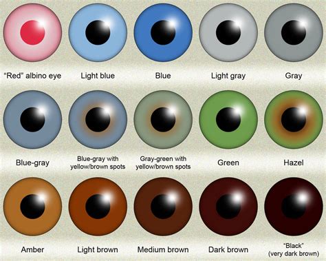 Human eye color (iris color) chart by KDC-71 on DeviantArt