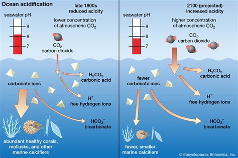 Seawater | Composition, Properties, Distribution, & Facts | Britannica