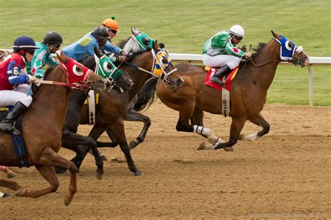 Tips for taking horse racing photos | DR Photos